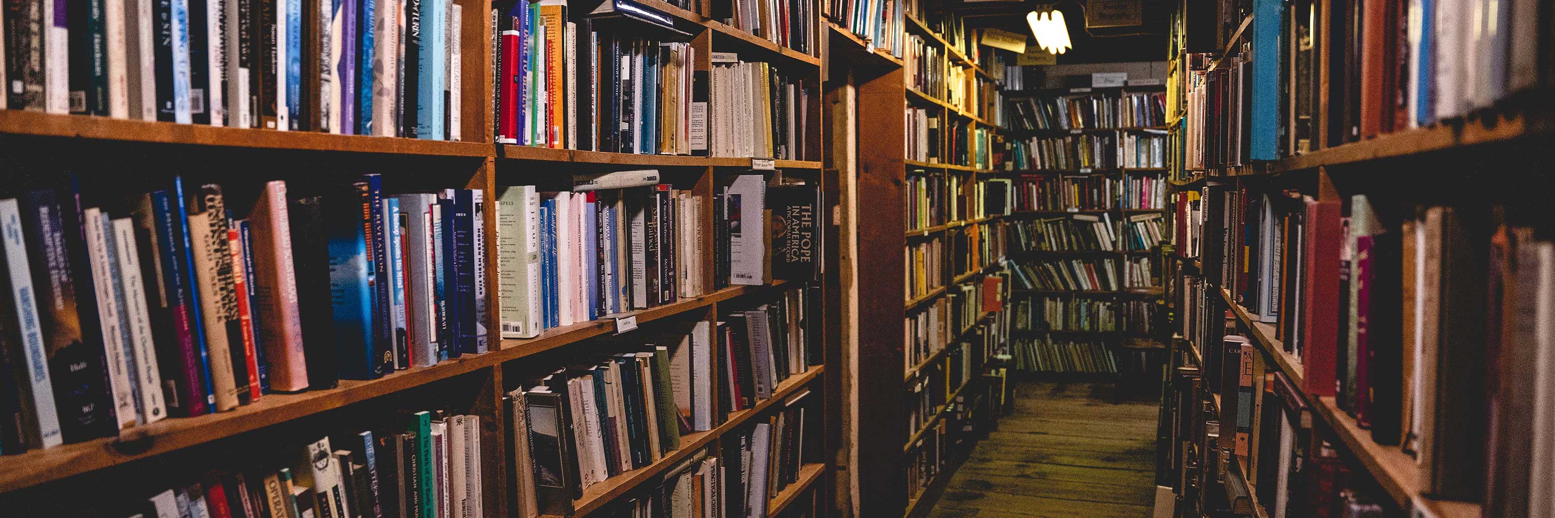 A bookstore's shelves, crowded with books and dimly lit.