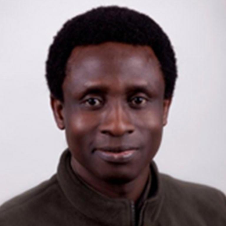 Akin Adesokan